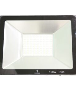 100W CCP Driverless Flood Light 2 Pcs Pack
