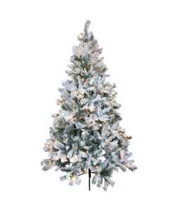 180cm Snowy Oxford Pine