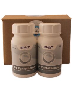 2 x Sally T. Ca Pantothenate Adrenal Gland Support & Skin 300mg - 60 Caps