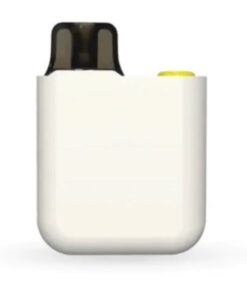 Airscream Vape Starter Kit Airegg Airpops a Lanyard and Case Included