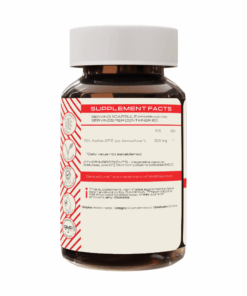 Alpha GPC (Nootropic Supplement) - 60 x 300mg