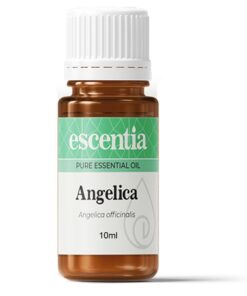 Angelica Essential Oil 10ml