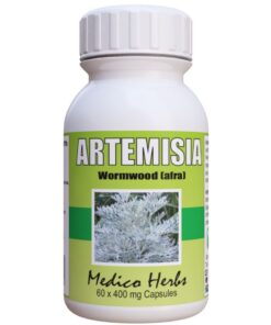 Artemisia Afra (60 x 400mg Capsules)