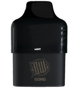 Bewolk Bar- Disposable Vape with Mesh Coil Flavour Pods Mint