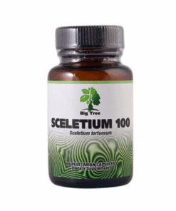 Big Tree Sceletium Traditional Natural African Mood Tonic - 60 Veg Capsules