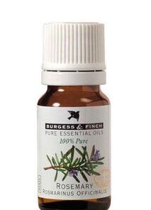 Burgess & Finch Aromatherapy Oil Rosemary 10ml