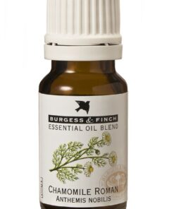 Burgess & Finch Chamomile Roman Oil (Blend) 10ml