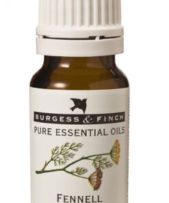 Burgess & Finch Fennel Oil 10ml