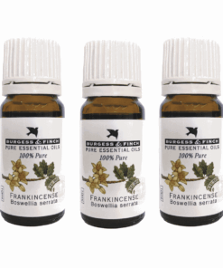 Burgess & Finch Frankincense Oil 10ml x 3