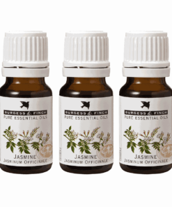 Burgess & Finch Jasmine Oil 10ml x 3