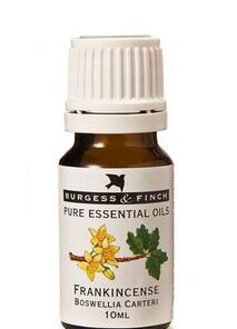 Burgess & Finch Oil 10ml Frankincense