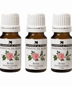 Burgess & Finch Rose Oil 10ml (Blend) x 3