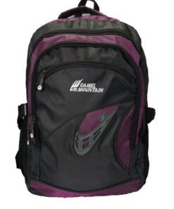 Camel Mountain Laptop Backpack - Black & Purple