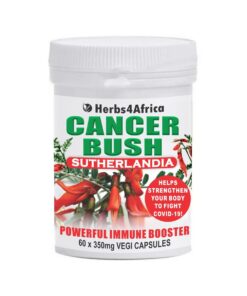 Cancer Bush / Sutherlandia Capsules 60 x 350mg