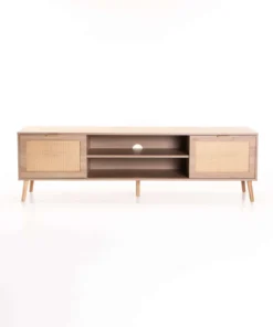 DEWI 2 DOOR TV UNIT - Rustic/Light Oak