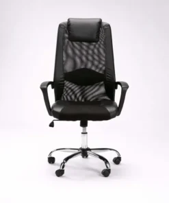 EXEC HIBACK OFFICE CHAIR W-156 CHROME BASE