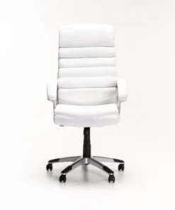 LUXURY EXECUTIVE HIBACK OFFICE CHAIR CM113 - White