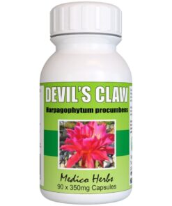 Devil's Claw Capsules 90 x 350mg