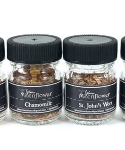 Dried Botanicals -4Pack- Calendula, Chamomile, St Johns Wort, Angelica Root