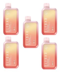 Elf Bar 10000 Puffs Disposable Vape - Cherry Watermelon - 5 Pack