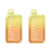 Elf Bar 10000 Puffs Disposable Vape - Double Mango - 2 Pack