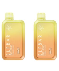 Elf Bar 10000 Puffs Disposable Vape - Double Mango - 2 Pack