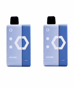Elf Bar 9000 Puffs Rechargeable Pod Kit 50mg - Blue Razz - 2 Pack