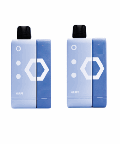 Elf Bar 9000 Puffs Rechargeable Pod Kit 50mg - Grape - 2 Pack