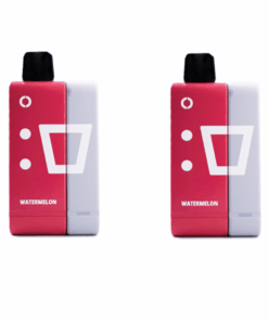 Elf Bar 9000 Puffs Rechargeable Pod Kit 50mg - Watermelon - 2 Pack
