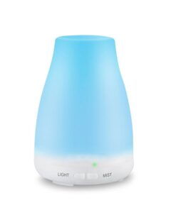 GreenLeaf Ultrasonic Essential Oil Diffuser & Humidifier - White (120ml)