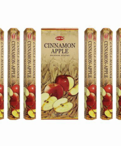 HEM Cinnamon Apple Incense Sticks (6 Packs of 20 sticks each)