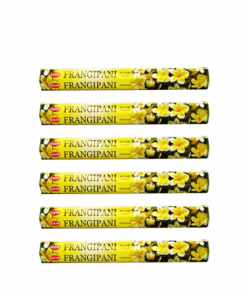 HEM Frangipani Incense Sticks (6 Packs of 20 Sticks Each)