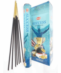 HEM Success Incense Sticks (6 Packs of 20 Sticks Each)