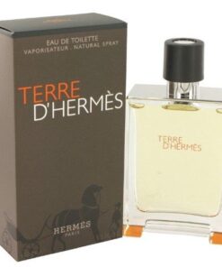 Hermes Terre D'Hermes Eau De Toilette 100ml for Him (Parallel Import)