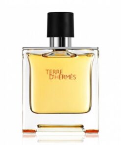 Hermes  Terre D'Hermes EDT Spray For Men (Size: 100ml)