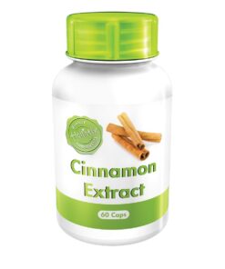 Holistix Cinnamon Extract 60 caps