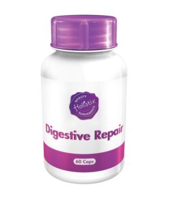 Holistix Digestive Repair 60 Capsules