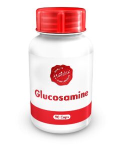 Holistix Glucosamine 500mg 90 cap