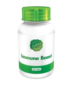 Holistix Immune Boost 90 Capsules