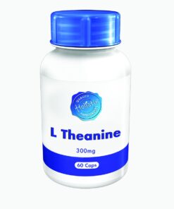 Holistix L Theanine 300mg 60 cap