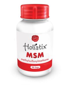 Holistix MSM 600mg 90 Capsules