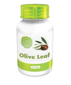 Holistix Olive Leaf 60 cap