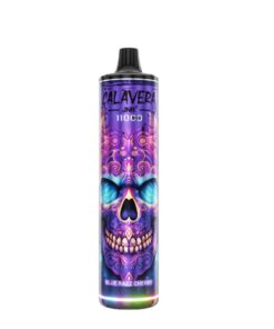 JNR Calavera 11 000 Puffs 2% Disposable Vape - Blue Razz Cherry