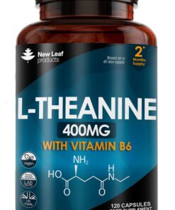 L-Theanine High Strenth Capsules 2 Month Supply