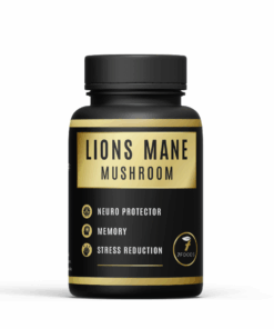 Lions Mane (10% mushroom extract) 60 capsules
