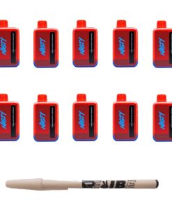 Nasty 9000 Puff Disposable Vape 5% Blue Raspberry Lemonade 10 Pack