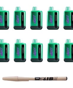 Nasty 9000 Puff Rechargeable Disposable Vape 5% Aloe Grape 10 Pack