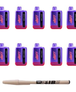 Nasty 9000 Puff Rechargeable Disposable Vape 5% Berry & Grape 10 Pack