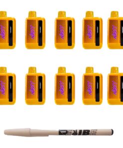 Nasty 9000 Puff Rechargeable Disposable Vape 5% Mango 10 Pack