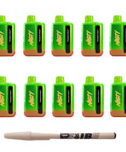 Nasty 9000 Puff Rechargeable Disposable Vape 5% Passion Fruit 10 Pack
